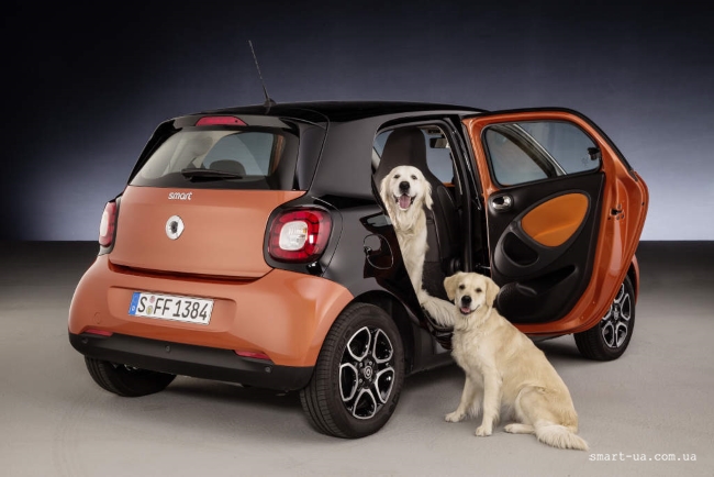 smart for-dogs 1